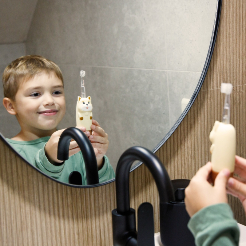 INNOGIO Elektronický sonický zubní kartáček