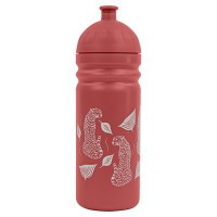 Zdravá lahev 700ml