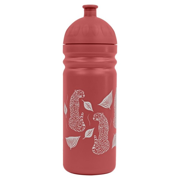Zdravá lahev 700ml