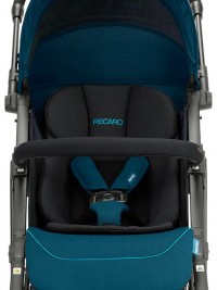 RECARO Easylife Elite 2 Select městský kočárek