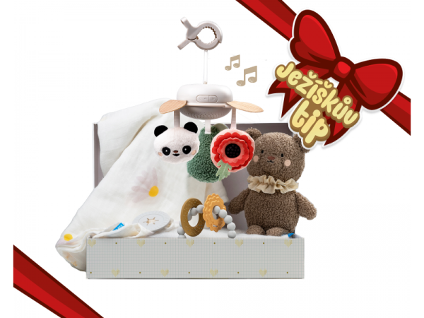 TAF TOYS Sada hraček Newborn Luxe - Sada hraček Newborn Luxe