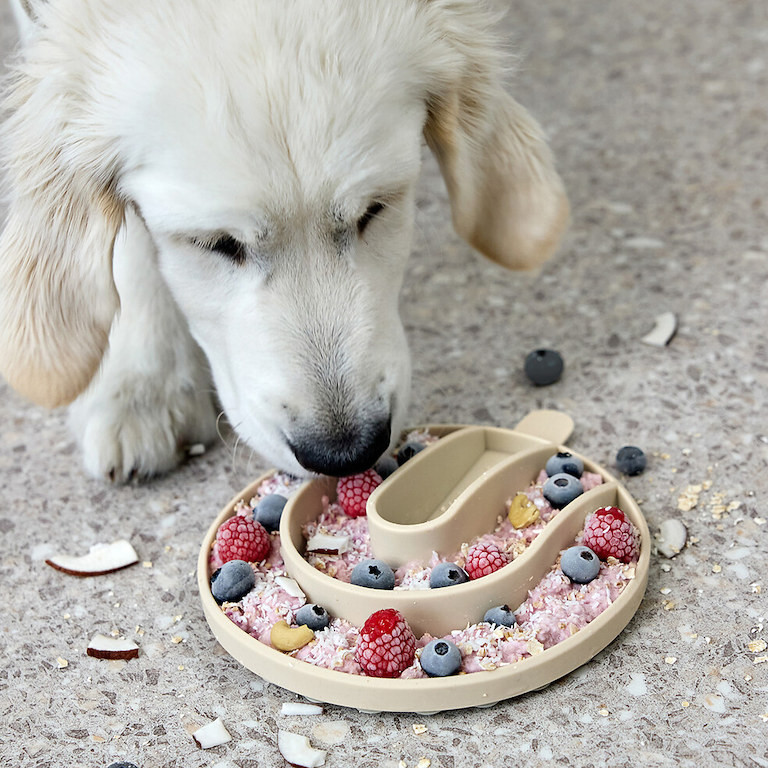 PALOPA Slow-Feed Insert Yumo