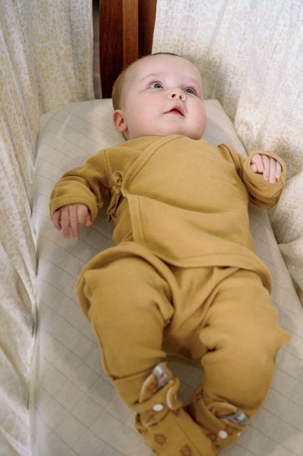 LODGER Jogger Nomad Rib Birch tepláčky
