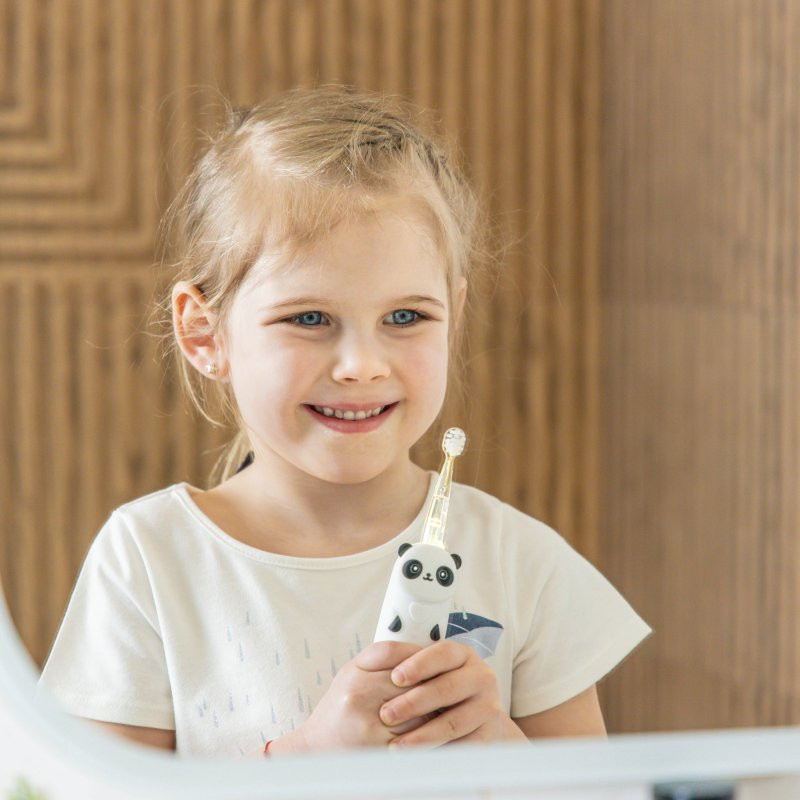 INNOGIO Elektronický sonický zubní kartáček