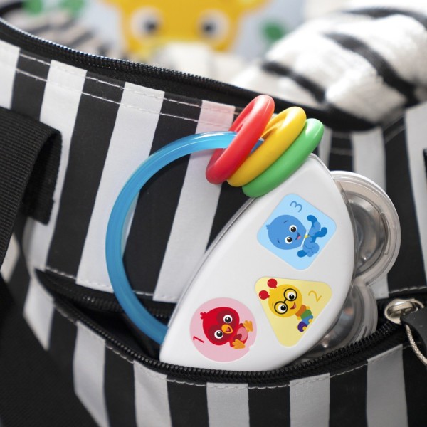 BABY EINSTEIN Tamburína s chrastítkem 3m+
