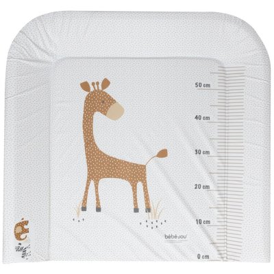 Steppe