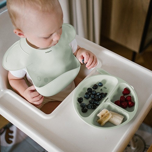 BABYONO Talíř silikonový s přísavkou 6m+