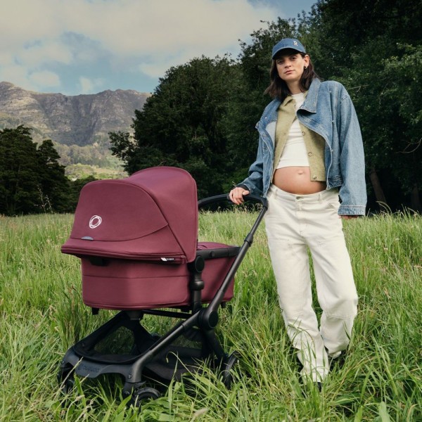 BUGABOO Fox 5 Renew complete