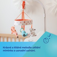 Canpol babies Plyšový kolotoč s melodiemi