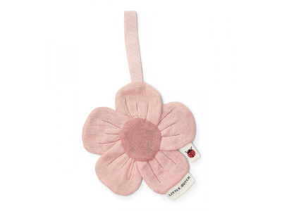 květina Fairy Garden