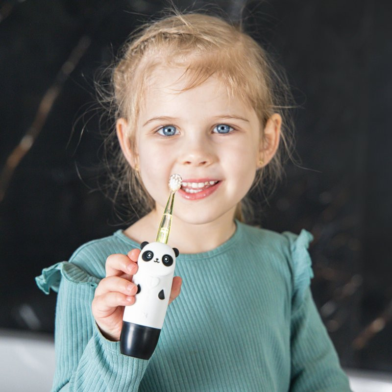 INNOGIO Elektronický sonický zubní kartáček