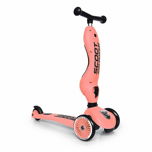 SCOOT & RIDE Highwaykick 1 (1-5 let) koloběžka/odrážedlo