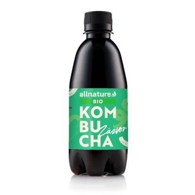Zázvor BIO 330 ml