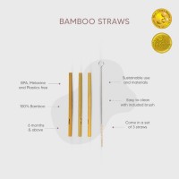 Citron Bambusová brčka s kartáčkem na čištění