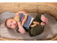 TAF TOYS Medvídek plyšový s knížkou Snuggle Bear