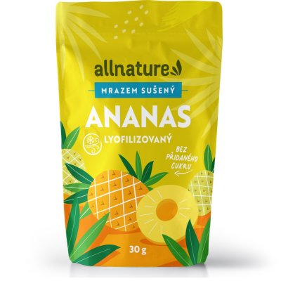 Ananas sušený mrazem kousky 30 g