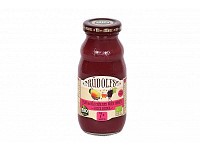 RUDOLFS Dětský juice hruška+ostružina+med