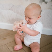 BABYONO Hračka pískací s kousátkem 3m+