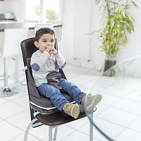 Přenosná židlička Babymoov Up&Go Smokey