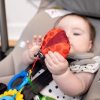 BABY EINSTEIN Hračka senzorická na C kroužku Touch of Nature™ 0m+