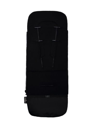 Wild Black