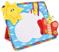 Galt Zrcadlo poznání