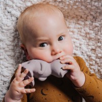 TIKIRI Dinos - kaučukové zvířátko z přírodní gumy