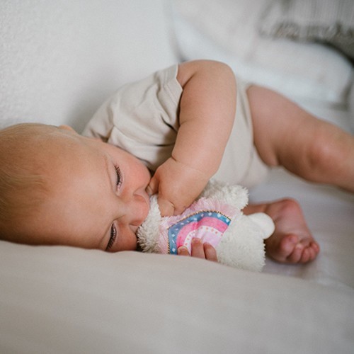 BABYONO Hračka mazlíček Lama Lulu 0m+