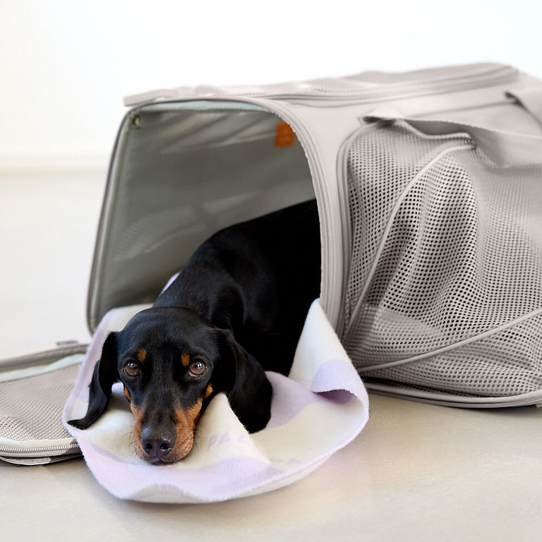 PALOPA Travel Carrier Bag Benno