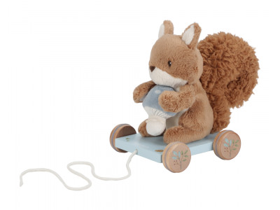 veverka Forest Friends