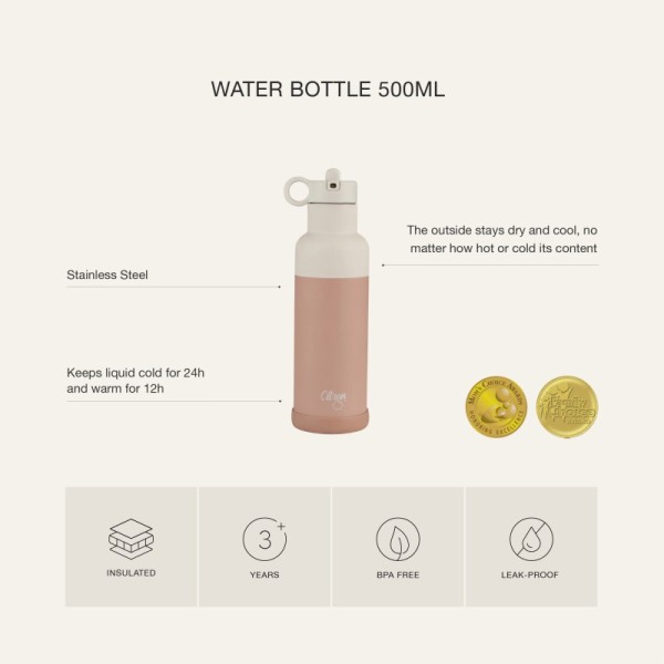 Citron Nerezová lahev na vodu 500 ml