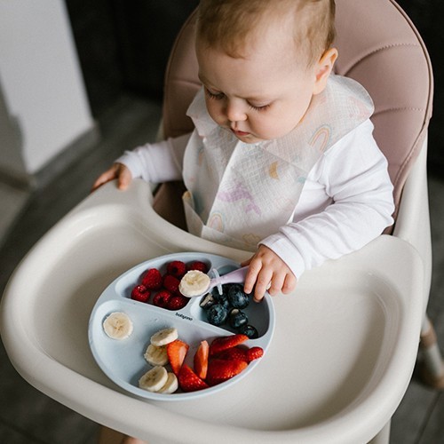 BABYONO Talíř silikonový s přísavkou 6m+
