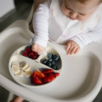 BABYONO Talíř silikonový s přísavkou 6m+