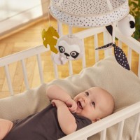 CANPOL BABIES Senzorický plyšový kolotoč s melodiemi/bluetooth BabiesBoo