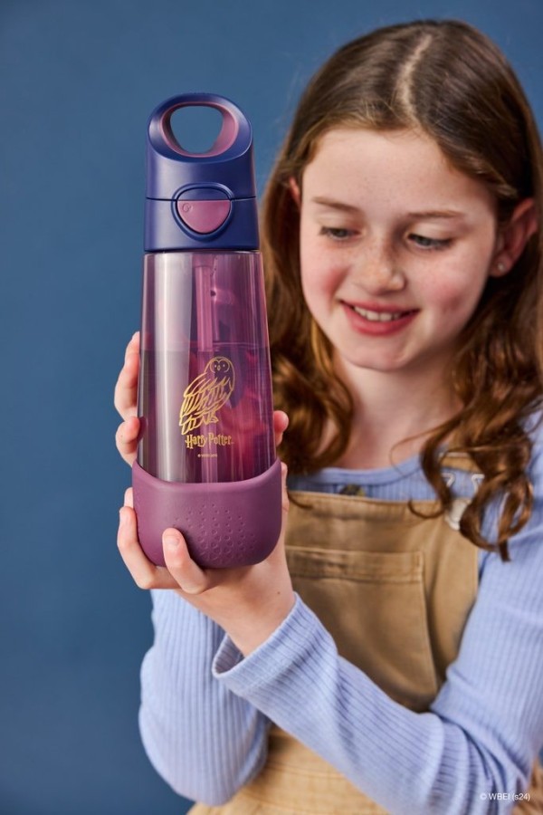 B.BOX Lahev na pití s brčkem 600 ml - Warner Bros.