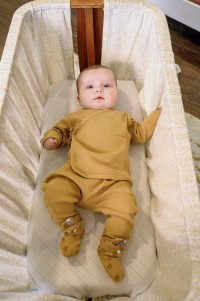 LODGER Jogger Nomad Rib Birch tepláčky