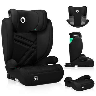 Black Carbon