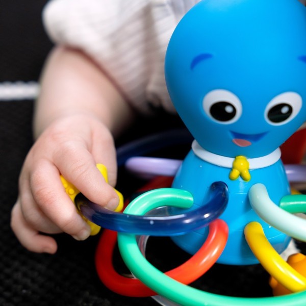 BABY EINSTEIN Kousátko/chrastítko Opus's Shake & Soothe™ 0m+