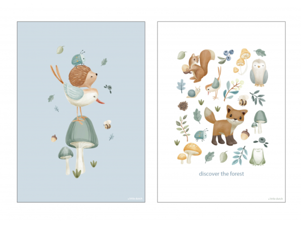 Forest Wonders