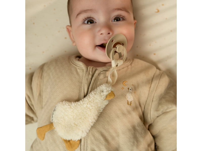 LITTLE DUTCH Spací pytel s oddělitelnými rukávy Husa