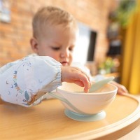 BABYONO Miska uzavíratelná s přísavkou a lžičkou 300 ml 6m+