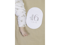 LITTLE DUTCH Karty s věkem Baby Bunny LITTLE DUTCH Karty s věkem Baby Bunny