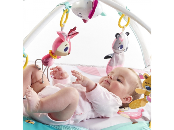 TINY LOVE Hrací deka s hrazdou Gymini Tiny Princess Tales