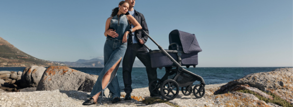 BUGABOO Fox 5 Renew complete