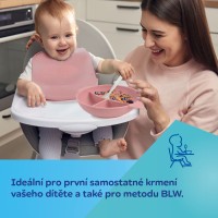 CANPOL BABIES Silikonová dělená miska s přísavkou DOTS