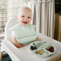 BABYONO Talíř silikonový s přísavkou 6m+