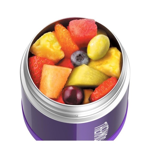 Thermos Dětská termoska na jídlo 290 ml