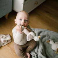 BABYONO Hračka pískací s kousátkem 3m+
