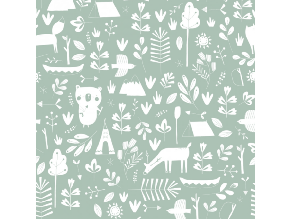 Tapeta Adventure Mint