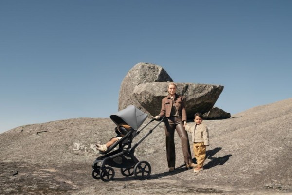 BUGABOO Fox 5 Renew complete